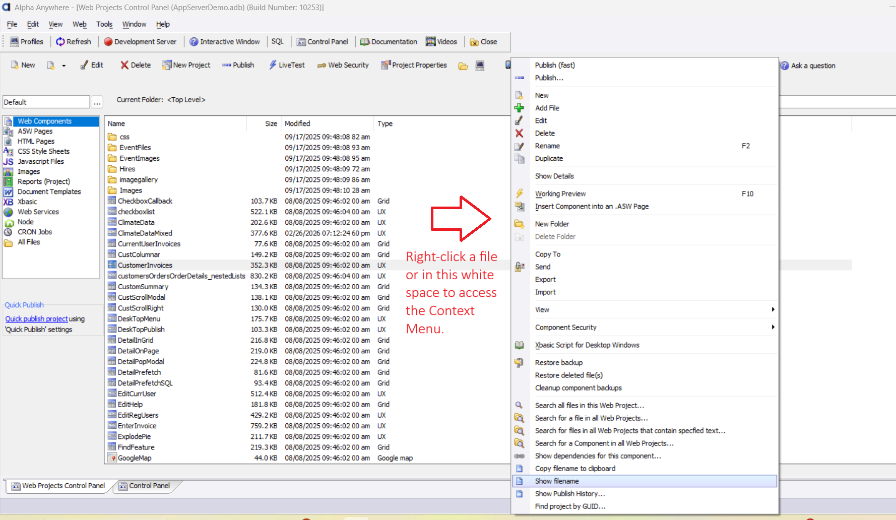 The shortcut menu that appears when you right-click in the file area of the Web Projects Control Panel.